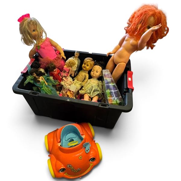 Mixed Doll Collection with Baby & Fashion Dolls, Clothing, Toy Car & Storage Tote