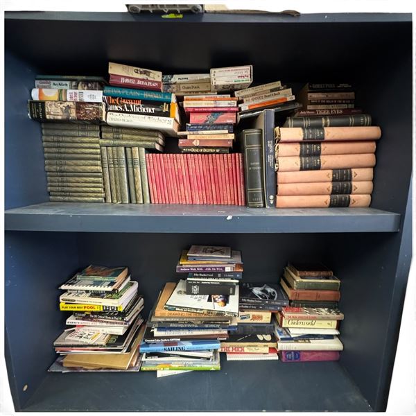 Large Mixed Library of Antique & Modern Books on Art, Pool, Cats, Fiction & Reference