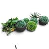 Image 2 : Collection of Decorative Artificial Topiary & Agave Plants