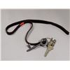 Image 1 : VTG Gibbons Wolverhampton Institutional Key Set w/ Leather Wrist Strap