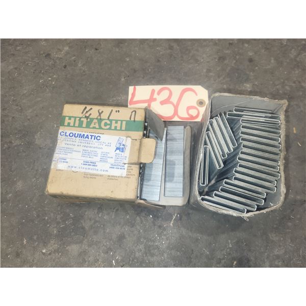 Hitachi Cloumatic Staples 1/4" x 1"