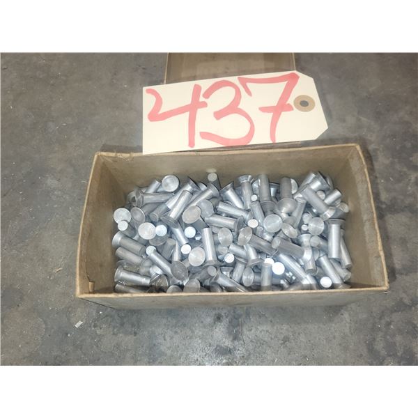 Box of Countersink Rivets