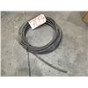 Image 1 : Hose