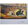 Image 7 : Salvador Dalí “Dalí Nude” Limited Edition Lithogra
