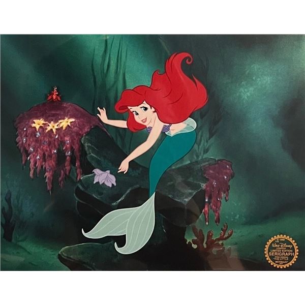 Disney “The Little Mermaid” Ariel Limited Edition