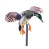 Image 2 : Brand New Mallard Duck Decoy with Remote Control