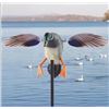 Image 3 : Brand New Mallard Duck Decoy with Remote Control
