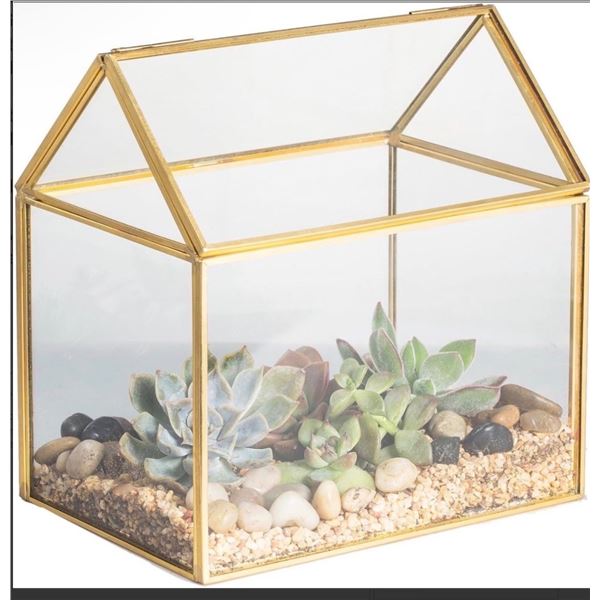 Brand New NVP Geometric Glass Terrarium Planter with Lid