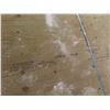 Image 4 : 7 sheets of 3/4" Pressure-Treated Plywood, 4 Feet by 8 Feet.