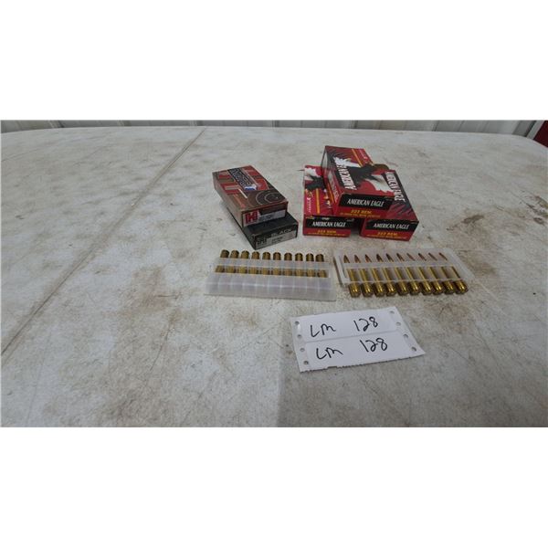 Hornady and American Eagle .223 Rem Ammunition, 100 Rounds