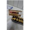 Image 4 : Hornady LEVERevolution 45-70 Govt Ammunition, 15 Rounds