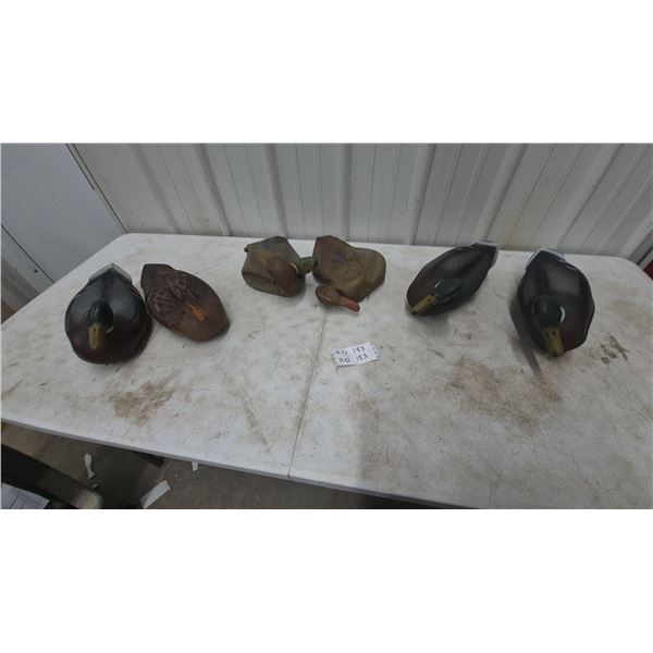Six Rubber Duck Decoys