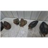 Image 3 : Six Rubber Duck Decoys