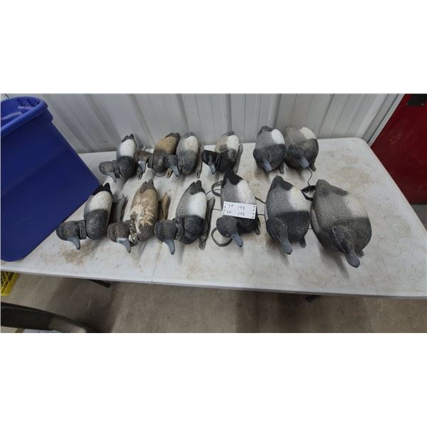 12 Assorted Duck Decoys and 1 Blue Bin