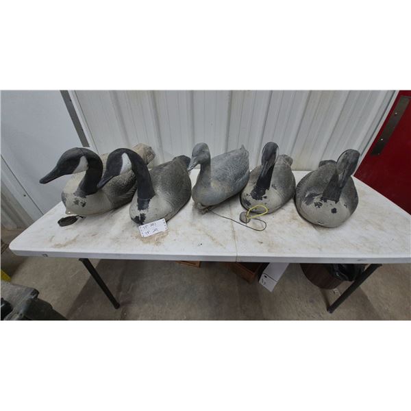 5 Geese Decoys