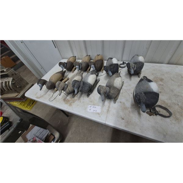 Assorted Duck Decoys, 10 Pieces, Including Pintail and Bluebill