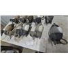 Image 2 : Assorted Duck Decoys, 10 Pieces, Including Pintail and Bluebill