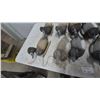 Image 3 : Assorted Duck Decoys, 10 Pieces, Including Pintail and Bluebill