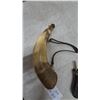 Image 5 : Powder Horn and Powder Flask with Embossed Military Motif