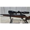 Image 12 : Browning A-Bolt Rifle, .243 Win, 22.6”, S/N 20481NT817, with Scope