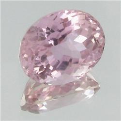 17.53ct Imperial Patroke Kunzite Appraised $7k (GEM-18145)