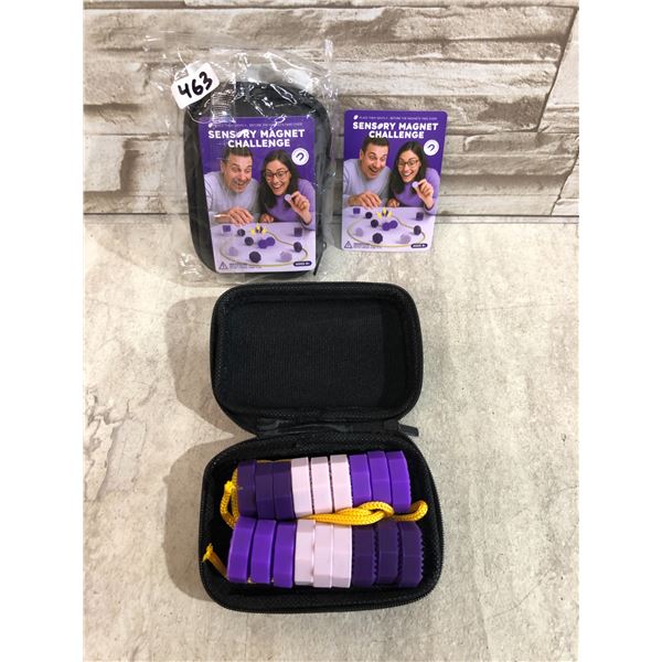 Lot Of 2 Sensory Magnet Challenges