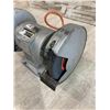 Image 3 : Black & Decker Bench Grinder