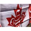 Image 2 : Canadian Native Flag