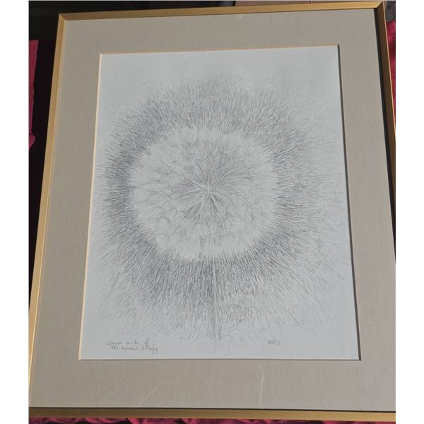Thelma Manarey Pencil Drawing “Seed Pod of the Meadow Salsify†1975