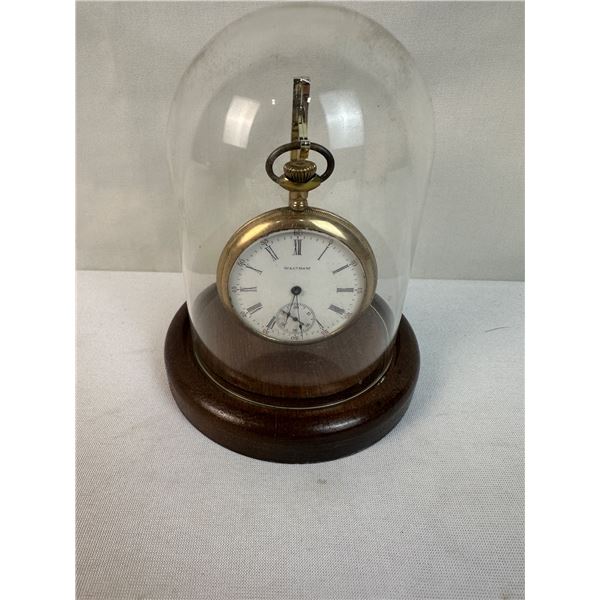 Waltham Pocketwatch in Display Case