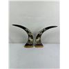 Image 1 : Carved Horns