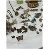 Image 3 : Costume Jewelry Lot