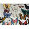 Image 2 : Butterfly Decor