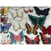 Image 3 : Butterfly Decor