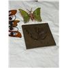 Image 3 : Butterfly Decor
