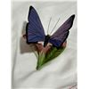 Image 7 : Delicate Butterfly and Flowers