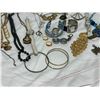 Image 2 : Costume Jewelry Lot