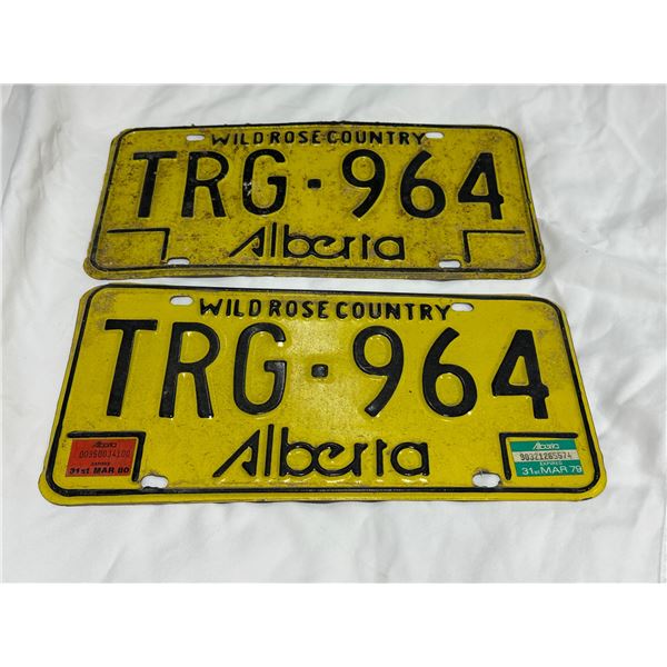 Vintage Alberta Licence Plate