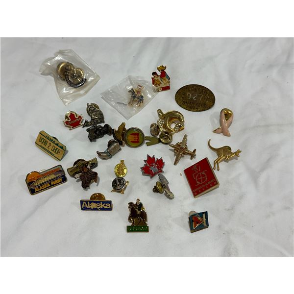 Pins Lot