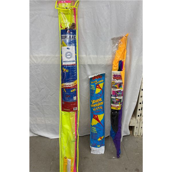 Biplane Kite and 2 Other Kites (Delta + Stunt)
