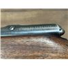 Image 2 : 12 GA Shotgun