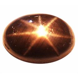 2.34ct Opaque Oval Cabochon Black Star Sapphire Natural  (GEM-23253)