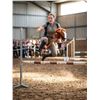 Image 1 : Plush Stick Horse Toy With Sound Button