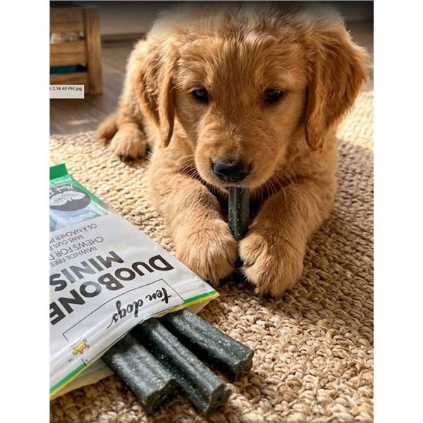TenDogs DuoBones Minis Mint Flavor Dog Chews