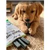 Image 1 : TenDogs DuoBones Minis Mint Flavor Dog Chews