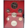 Image 2 : 1973 Canada Double Dollar Proof-Like Coin Set