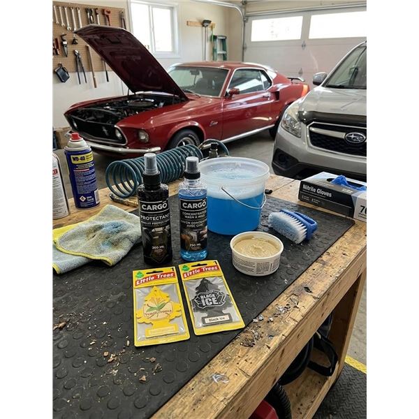 Car Cleaning Kit with Cargo Products and Air Fresheners