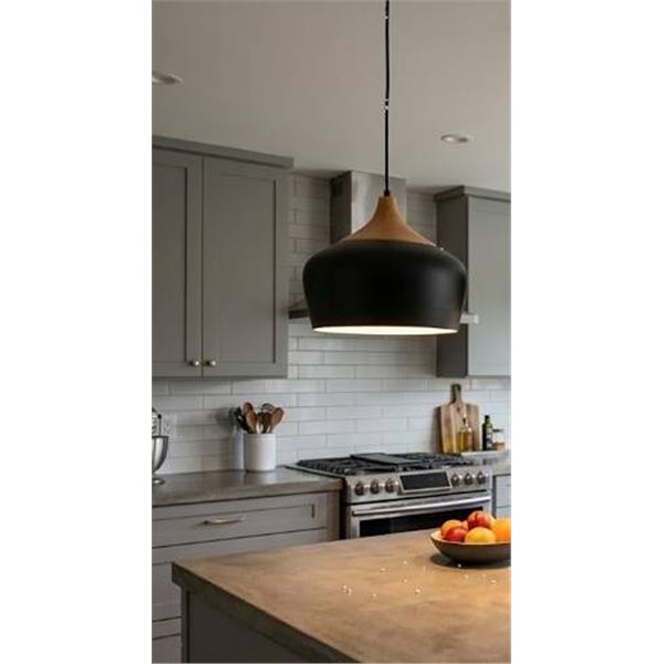 Modern Black and White Pendant Light Fixture