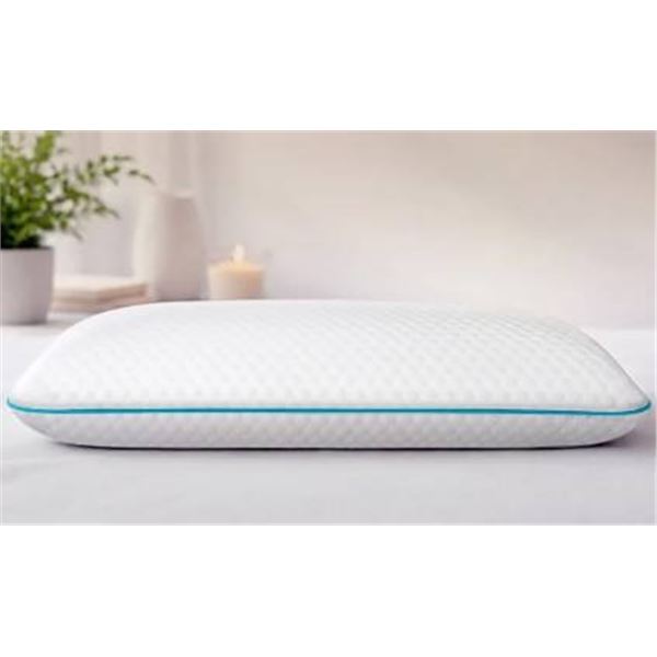 Martha Stewart Memory Foam Pillow Queen Grand