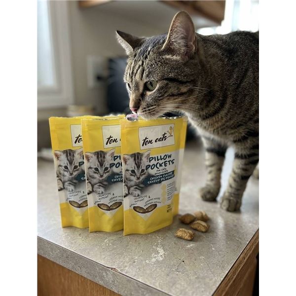 Ten Cats Pillow Pockets Chicken Flavor